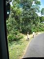 2007 07 15 BALI 0086